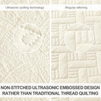 Love's cabin Oversized King Size Quilt Bedding Set Beige Bedspreads - Oversized King Lightweight Bedspread Comforter - Coin Pattern Coverlet for All Season - 3 Pieces (1 Quilt, 2 Pillow Shams) - Image 3