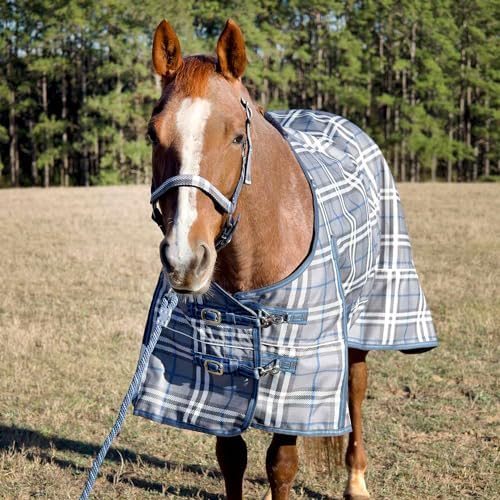 Jeffers 1200D Standard Neck Turnout Blanket, 240G, 72" - Hamilton Plaid by Jeffers