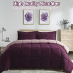 HOMME Queen Size 3 Pieces All Season Soft Comfortable Down Alternative Reversible Quilted Oversize Comforter Set School Dorm, Machine Washable - Image 3