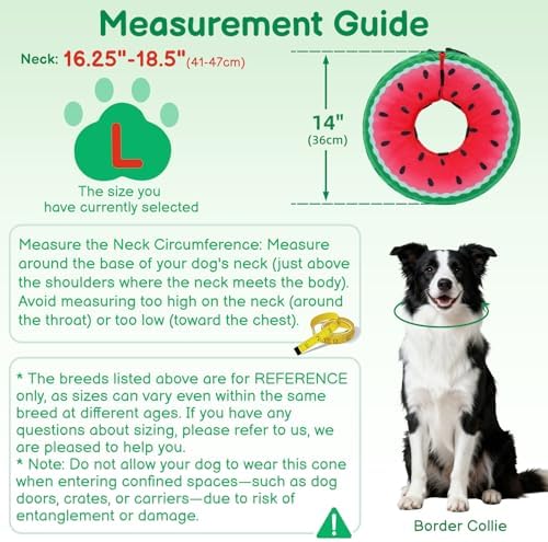 Dog Cone, No-Inflation Sponge Donut Collar for Dogs After Surgery - Image 5