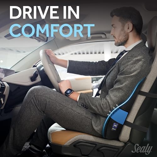 Sealy High Back Memory Foam Lumbar Support Pillow for Office Chair or Gaming Chair, Orthopedic Back Pillow for Car Seat, Black - Image 3