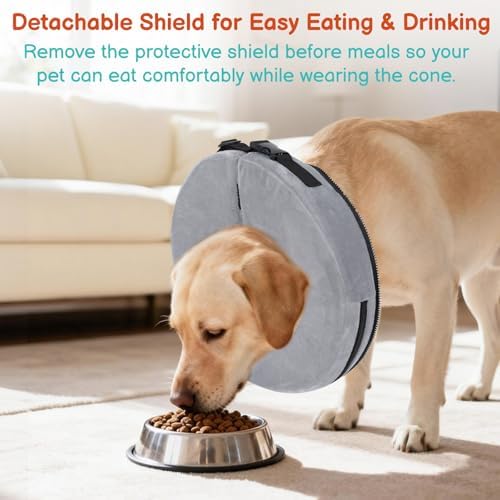 Dog Cone, No-Inflation Sponge Donut Collar for Dogs After Surgery - Image 4