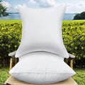 20 x 20 Outdoor Throw Pillow Inserts Set of 2 Waterproof Square Premium Decorative Couch Pillow Stuffers Form Large White Sofa Cushions Indoor by QSWRD