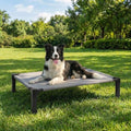 Elevated Dog Bed Raised Cooling Dog Cot for Large Dogs, Portable Indoor & Outdoor Pet Bed with No-Slip Feets Breathable Mesh Pet Bed for Camping Outdoor by Lesguyor