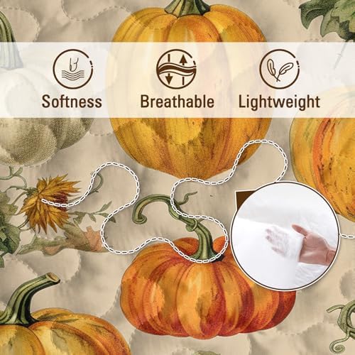 BlessLiving Autumn Quilt Set Twin: 3 Piece Pumpkin Bedspread Lightweight Microfiber Fall Harvest Pattern Bedding Decor All Season for Kids Adults - Image 5