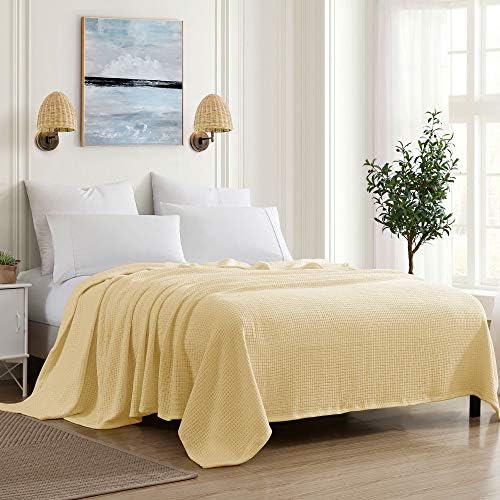 100% Fine Cotton Blanket Luxurious Weave Stylish Design Soft and Comfortable All Season Warmth, Full/Queen, Lemon (Pack of 6) by SweetHomeCollection