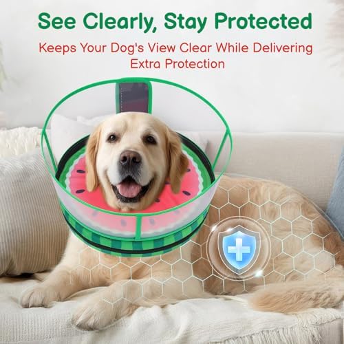 Dog Cone, No-Inflation Sponge Donut Collar for Dogs After Surgery - Image 6