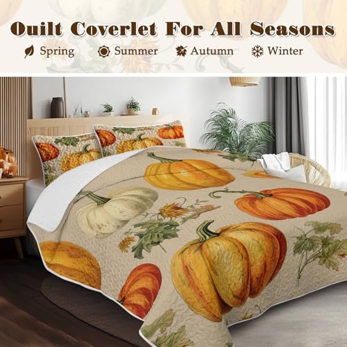 BlessLiving Autumn Quilt Set Twin: 3 Piece Pumpkin Bedspread Lightweight Microfiber Fall Harvest Pattern Bedding Decor All Season for Kids Adults - Image 2