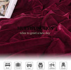 NANPIPER Sherpa Blanket Warm Blankets Super Soft Fuzzy Flannel Fleece/Wool Like Reversible Velvet Plush Couch Blanket Lightweight(Wine Red Throw Size 50"x60") - Image 6