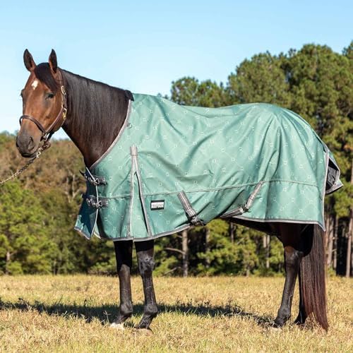Jeffers 1200D Standard Neck Turnout Blanket, 240G, 69" - Spruce Stirrup by Jeffers