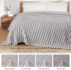 Exclusivo Mezcla Striped King Size Fleece Blanket for Bed, Light Grey - Image 3